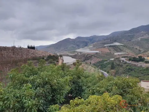 Finca rústica en Vega Baja