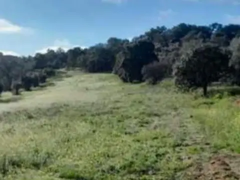 Terreno en Don Álvaro