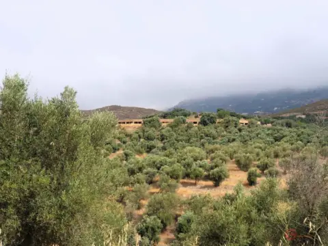 Finca rústica en Centro