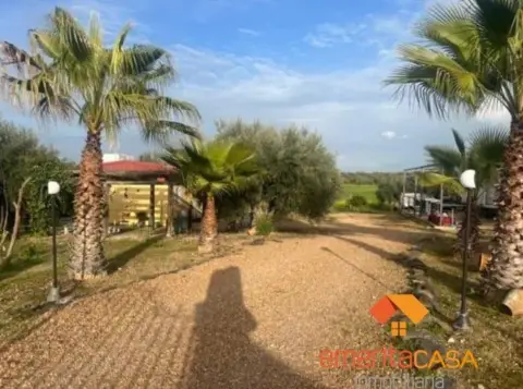 Finca rústica en Paraje Olivares del Carrasco