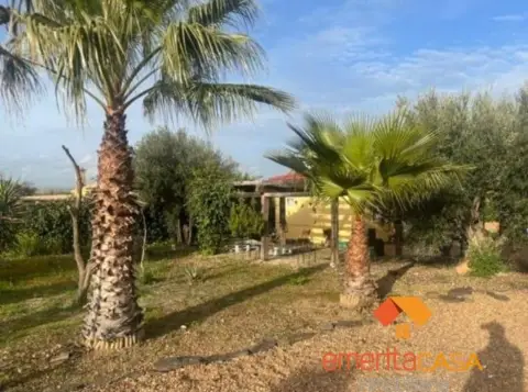 Finca rústica en Paraje Olivares del Carrasco