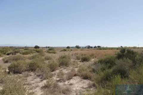 Finca rústica en El Molar