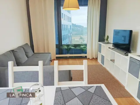 Piso en calle Juan Antonio Álvarez Rabanal