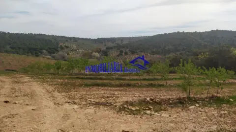 Finca rústica en Alcaracejos