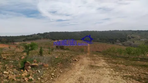 Finca rústica en Alcaracejos