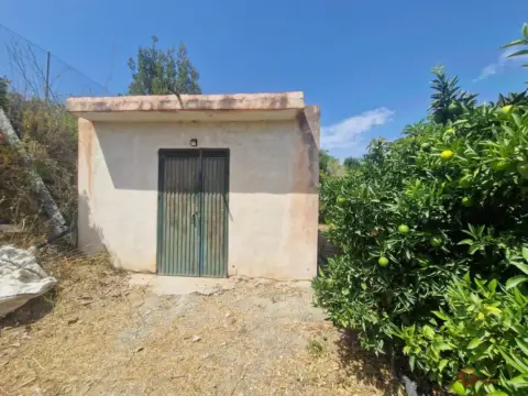 Finca rústica en La Mezquita