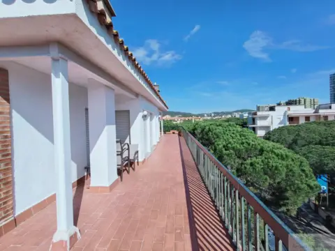 Pis – Castell d'Aro, Platja d'Aro i s'Agaró