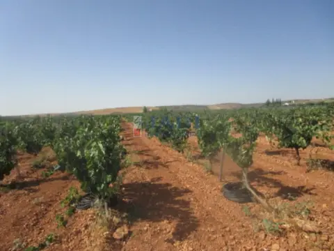 Finca rústica en Campo