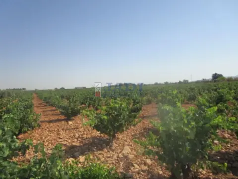 Finca rústica en Campo