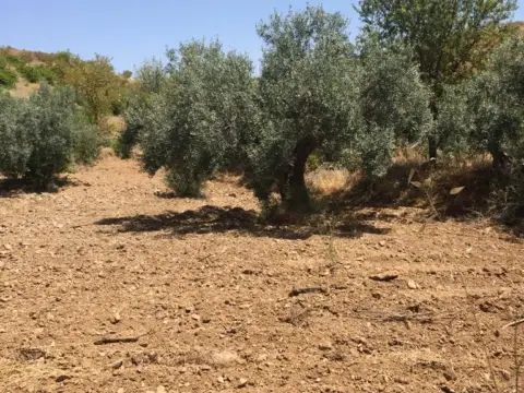 Terreno en calle Sierra de La Torrecilla