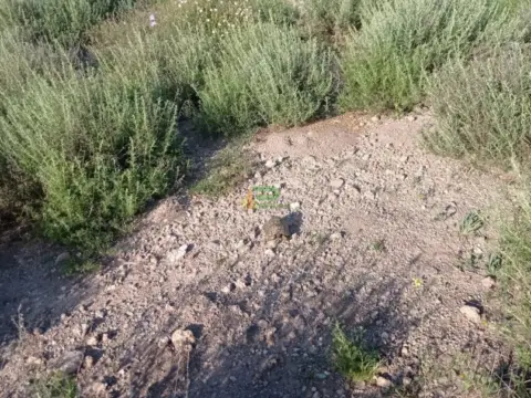 Terreno en calle El Saltador