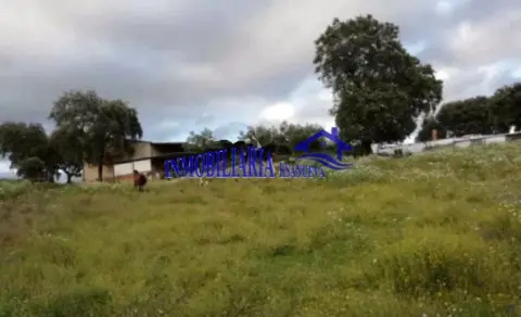 Finca rústica en Cerro Muriano