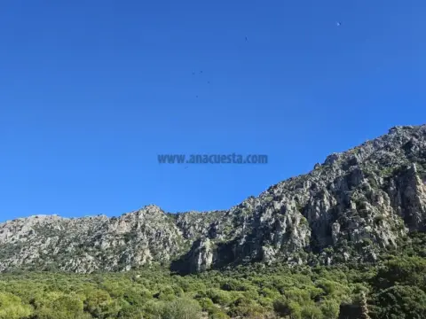Terreno en Casares