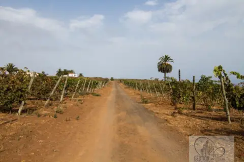 Finca rústica en Barranco Hondo