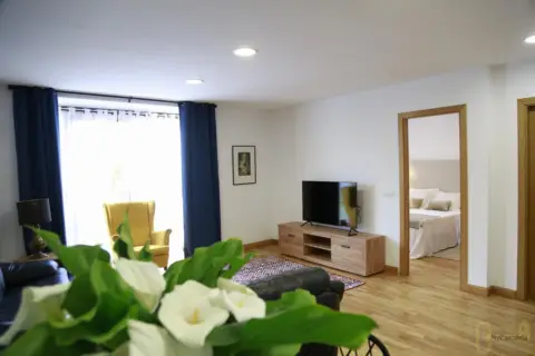 Piso en calle Plaza Mayor