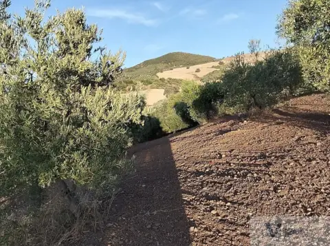 Finca rústica en Huerta Nueva