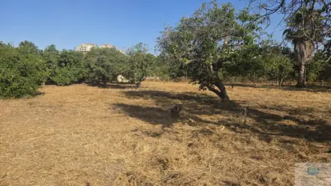 Terreno en Camino Viejo de Coín