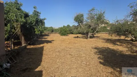 Terreno en Camino Viejo de Coín
