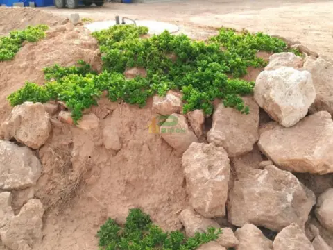 Casa en calle los Llanos Totana