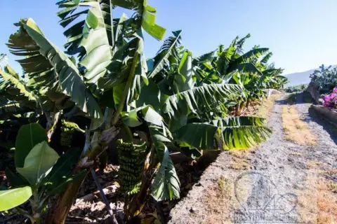 Finca rústica en Las Dehesas