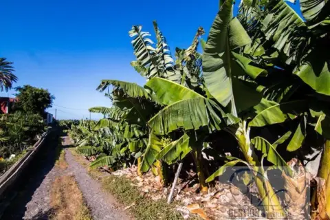 Finca rústica en Las Dehesas