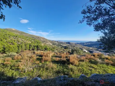 Finca rústica en Cuevas La Zorra