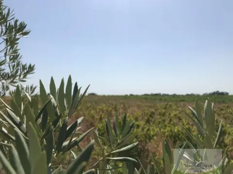 Terreno en Remuñana