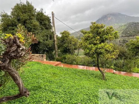 Finca rústica en Sierra El Gastor Grazalema