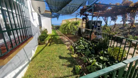 Finca rústica en Benajarafe Alto