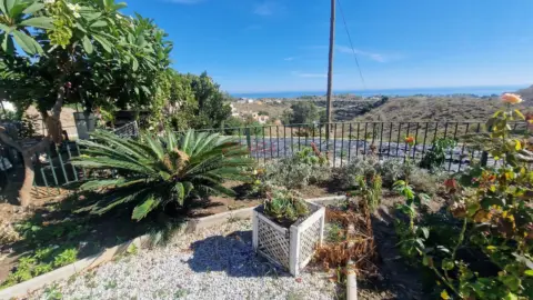 Finca rústica en Benajarafe Alto