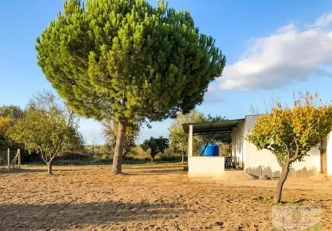 Finca rústica en Remuñana