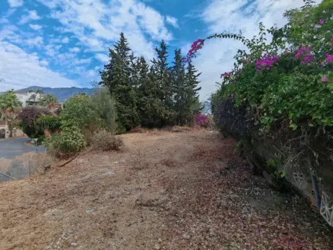 Terreno en calle de los Paraísos