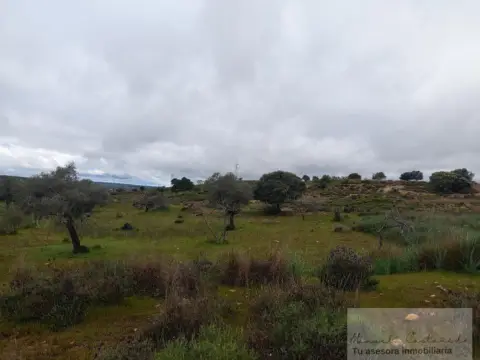 Finca rústica en Polígono Carrión