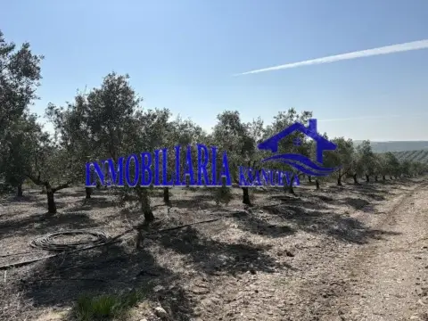 Finca rústica en Carpio