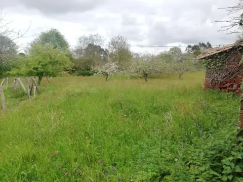 Terreno en Poreño