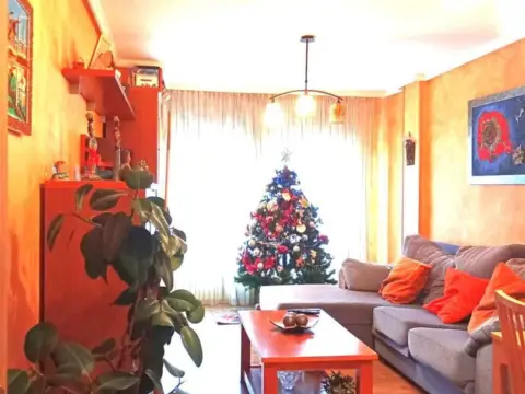 Piso en Avenida Alcalde José Fernandín