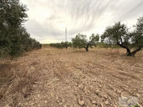 Finca rústica en Remuñana