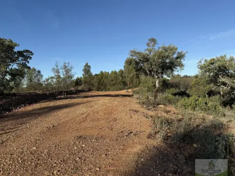 Terreno en Berrocal