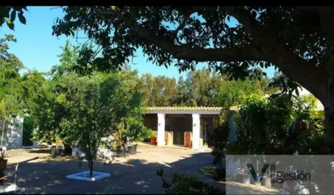 Finca rústica en Carretera Bornos-Villamartin