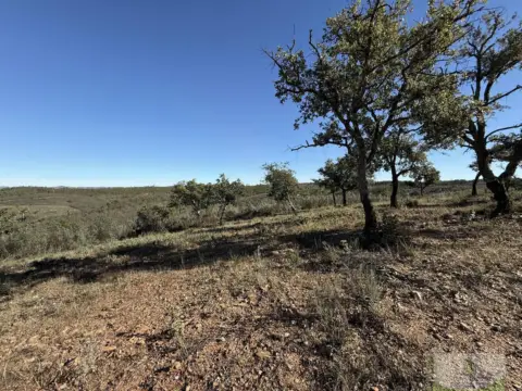 Terreno en Berrocal