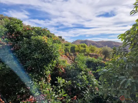 Finca rústica en El Pecho