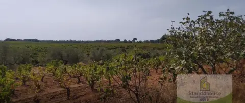 Terreno en Villarrasa
