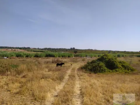Finca rústica en El Rincon