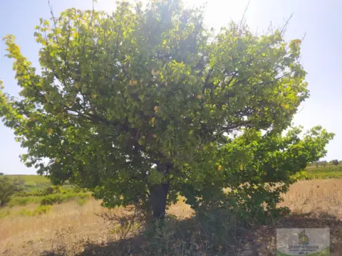 Terreno en Villarrasa
