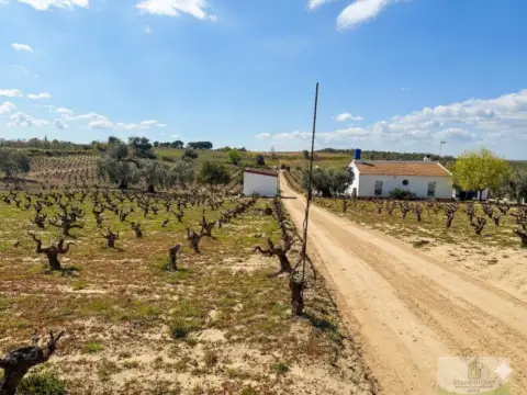 Finca rústica en Villalba del Alcor