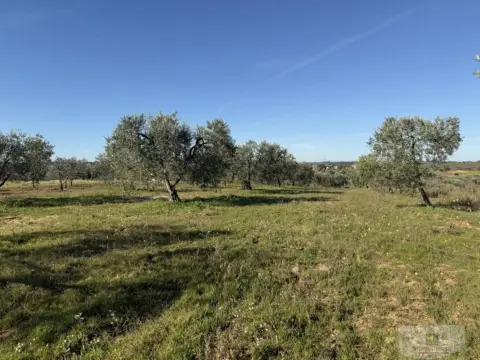 Terreno en Bollullos Par del Condado