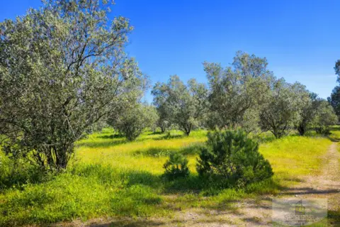 Finca rústica en Remuñana