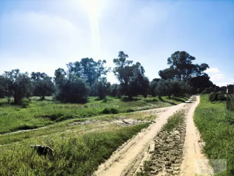 Finca rústica en Remuñana
