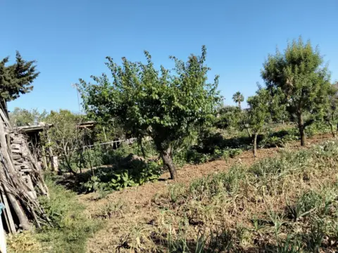 Finca rústica en Camino Borreguitos