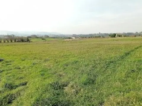 Rural Property in Colunga